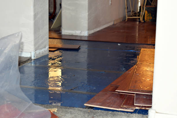 Professional Crawl Space Water Removal technician working in Windham, OH